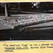 Floral planting on Capitol Mall