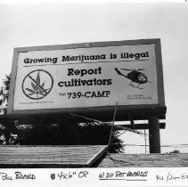 View of billboard aimed at the illegal growing of marijuana in Butte County. The county sheriff's officials say their anti-pot billboards are intended to raise the fear level of passing marijuana growers