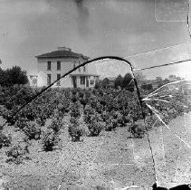 J.M. McFarland's House and Vineyard