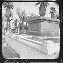 Negative, Safety, Unknown