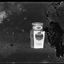 Negative, Glass Plate