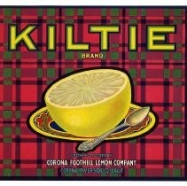 Kiltie Brand