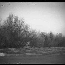 Negative, Glass Plate