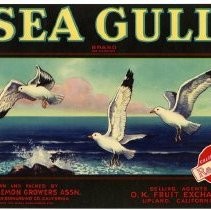 Sea Gull Brand