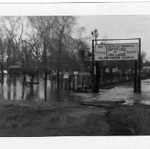 View of the flooded American River in 1950 near the Camp Pollock Boy Scout campground. Note the sign for the camp