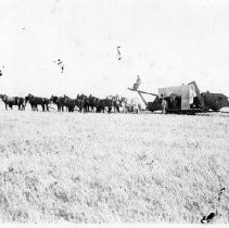 Farm scene harvesting grain