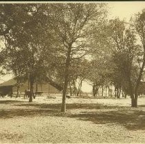 Barn scene