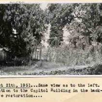 Capitol Park trees and shrubbery