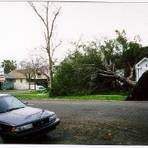 Windstorm