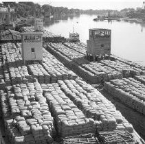 Grain Barges