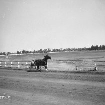 Harness Racer