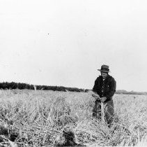 "Fred Jones in Wheat Field"