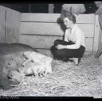 Negative, Safety, Unknown