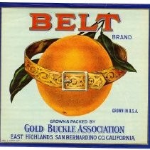 BELT Brand