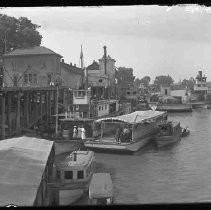 Sacramento River Scene