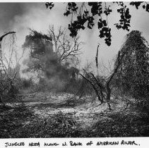 Burning Vegetation Along American River