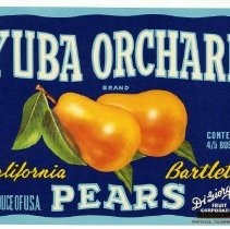 Yuba Orchard Brand