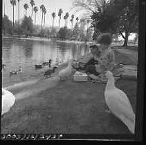 Negative, Safety, Unknown