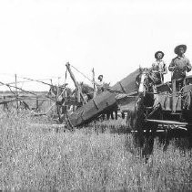 Harvesting Hay