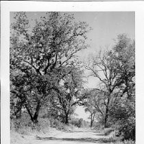 American River Parkway