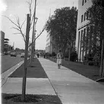 Negative, Safety, Unknown