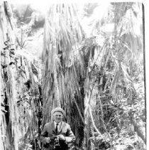 Unidentified man with camera in garden