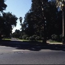 View of Capitol Park in Sacramento