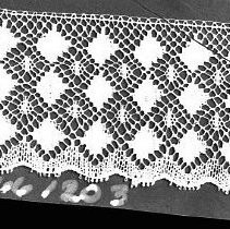 Negative, Glass Plate