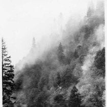 Fire on Steep Hillside