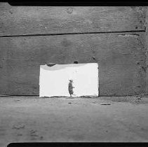 Negative, Safety, Unknown