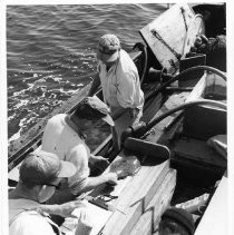 Photographs from Wild Legacy Book. Photograph, "DFG Halibut Tagging, March 1957, Dept. of Fish and Game."