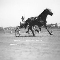 Harness Racer