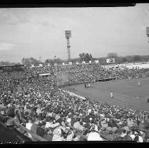 Negative, Safety, Unknown