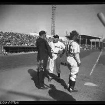 Negative, Safety, Unknown