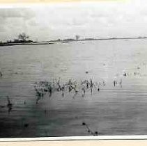 Print, Photographic, Black and White