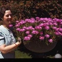 Woman with Iceplant