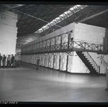 Negative, Safety, Unknown