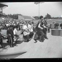 Negative, Safety, Unknown