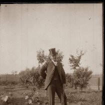 Unknown man dressed in formal wear, top hat, tails, and a cane standing in an orchard