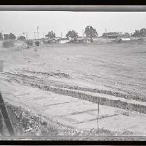 Negative, Safety, unknown