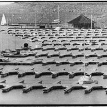 Docks Floating Again at Folsom Lake