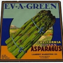 Ev-A-Green Asparagus