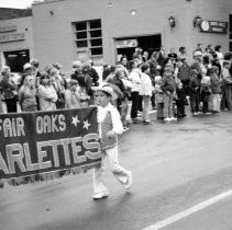 Fair Oaks Fiesta