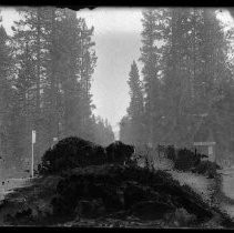 Negative, Glass Plate