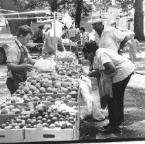 Farmer's Market