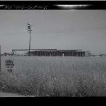 Negative, Safety, unknown