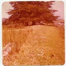 Photographs of landscape of Bolinas Bay. "Bolinas Lagoon, 8-77"