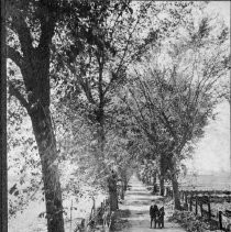 Two unidentified boys and a dog standing in a country lane