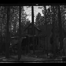 A cabin in the forest