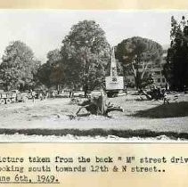 Trees being removed in Capitol Park